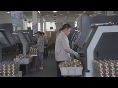 Γραμμή παραγωγής ελατηρίου Beishun Brisk