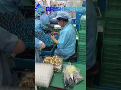 40 100 μικρών Όλο το σπίτι σπιν-ν-νου ιζήματα διπλή διήθηση ιζήματα προφίλτρο επαναχρησιμοποιήσιμο