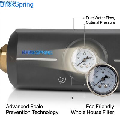 Οικολογικό, μη τοξικό σώμα ABS, φίλτρο κατά των αλάτων, αφαλατωτής νερού για όλο το σπίτι